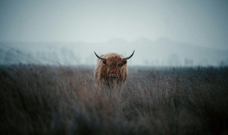 BTC News: Bitcoin to Rally as U.S. Growth Improves, Stablecoin Bills Progress: Coinbase Research