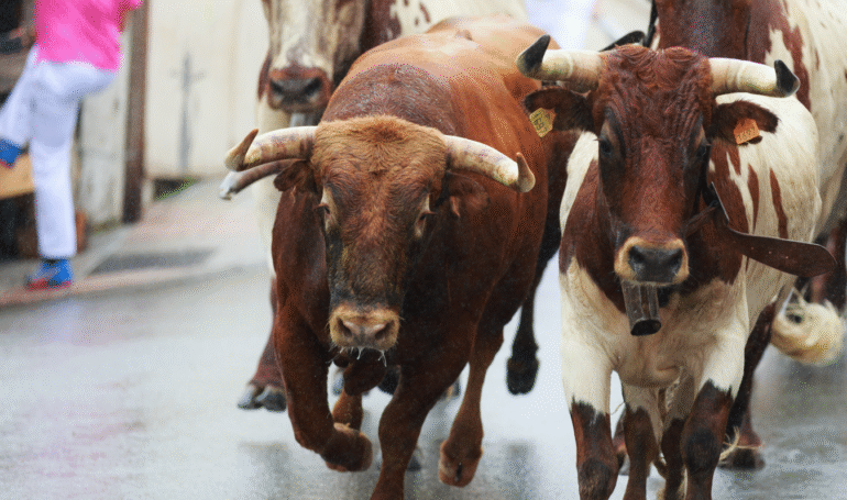 BTC Price Retreats From 8K, But Bulls Aren’t Done