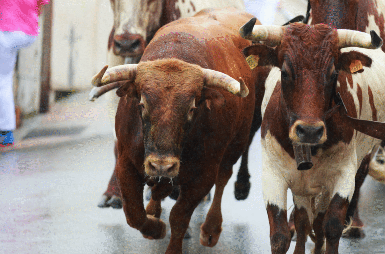 BTC Price Retreats From 8K, But Bulls Aren’t Done