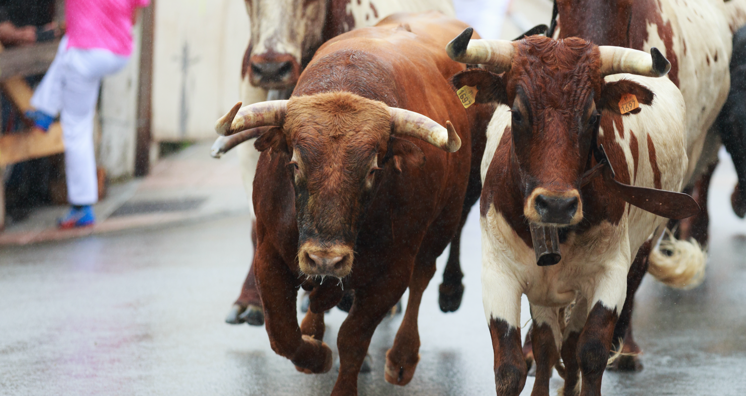 BTC Price Retreats From 8K, But Bulls Aren’t Done