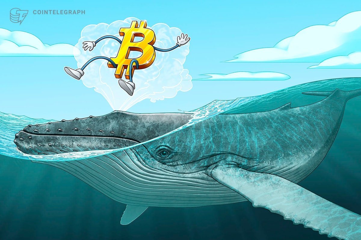Bitcoin leveraged long momentum sees BTC price reach 6,500 and liquidate late shorts.