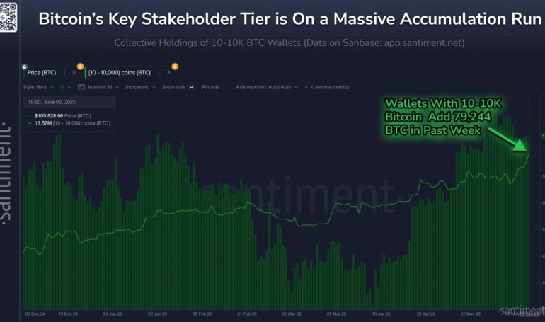 Bitcoin’s Key Investors Double Down, Buy Another 79,000 BTC