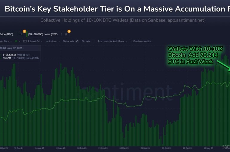 Bitcoin’s Key Investors Double Down, Buy Another 79,000 BTC