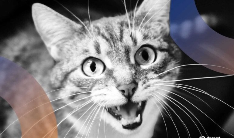 Can AI Crack the Cat Code? Baidu Thinks So