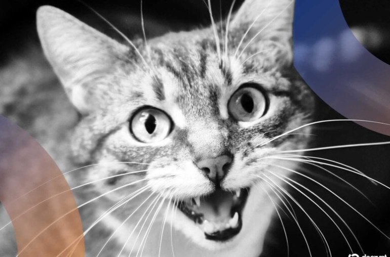 Can AI Crack the Cat Code? Baidu Thinks So