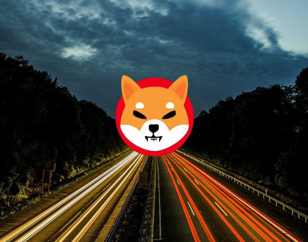 Can Shiba Inu Fall to alt=