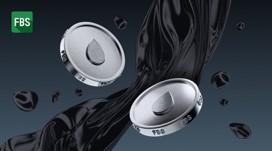 Critical Moment for Oil: EU Warns about Hormuz