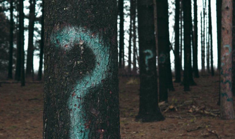 CryptoQuant Warns of K Bitcoin Drop as Analyst Views Diverge