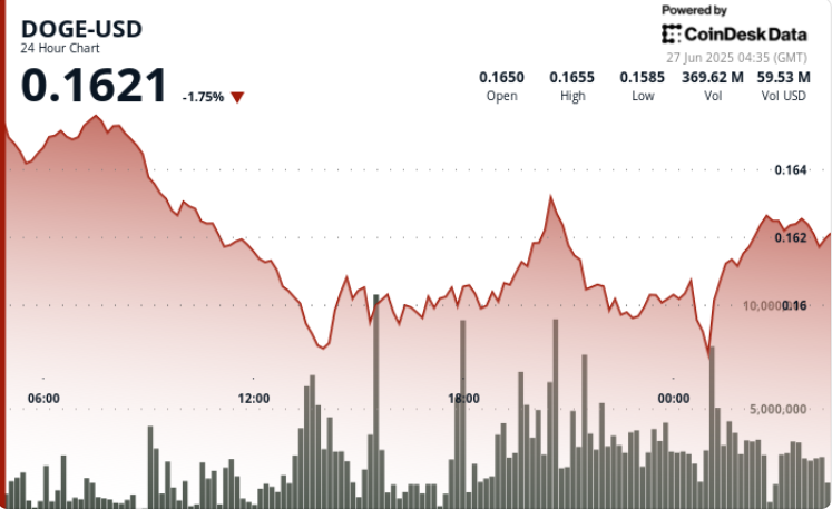 DOGE Finds Support Around 16 Cents After 6% Drop
