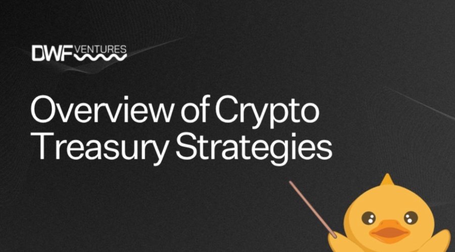 DWF Ventures Report Reveals B Crypto Treasury Investment by Public Companies