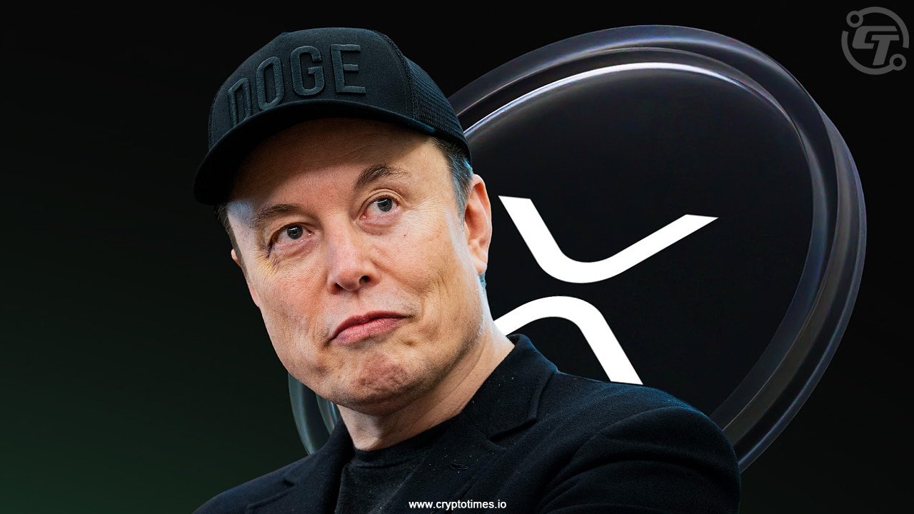 Elon Musk Says Ripple XRP is Promising Fact Check
