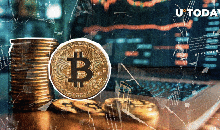 Enormous Whale Gets Liquidated as Bitcoin Price Sinks Lower