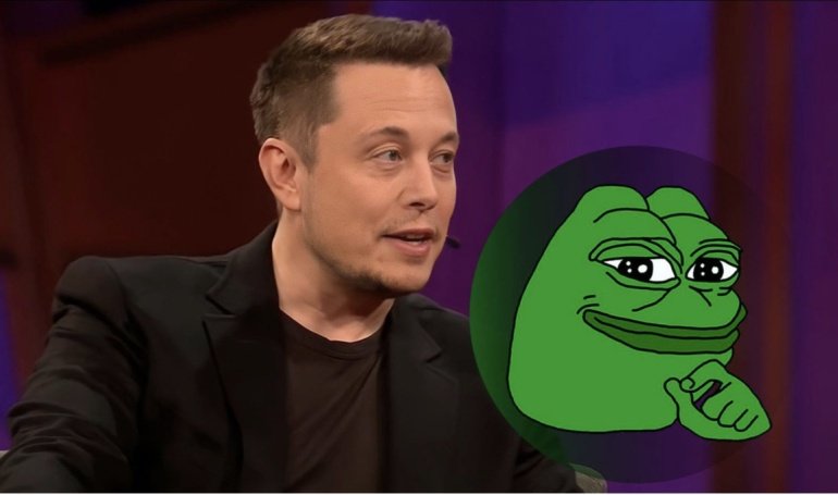 Has Elon Musk Invested in Pepe Coin?