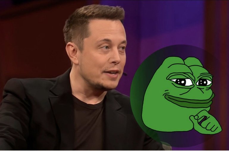 Has Elon Musk Invested in Pepe Coin?