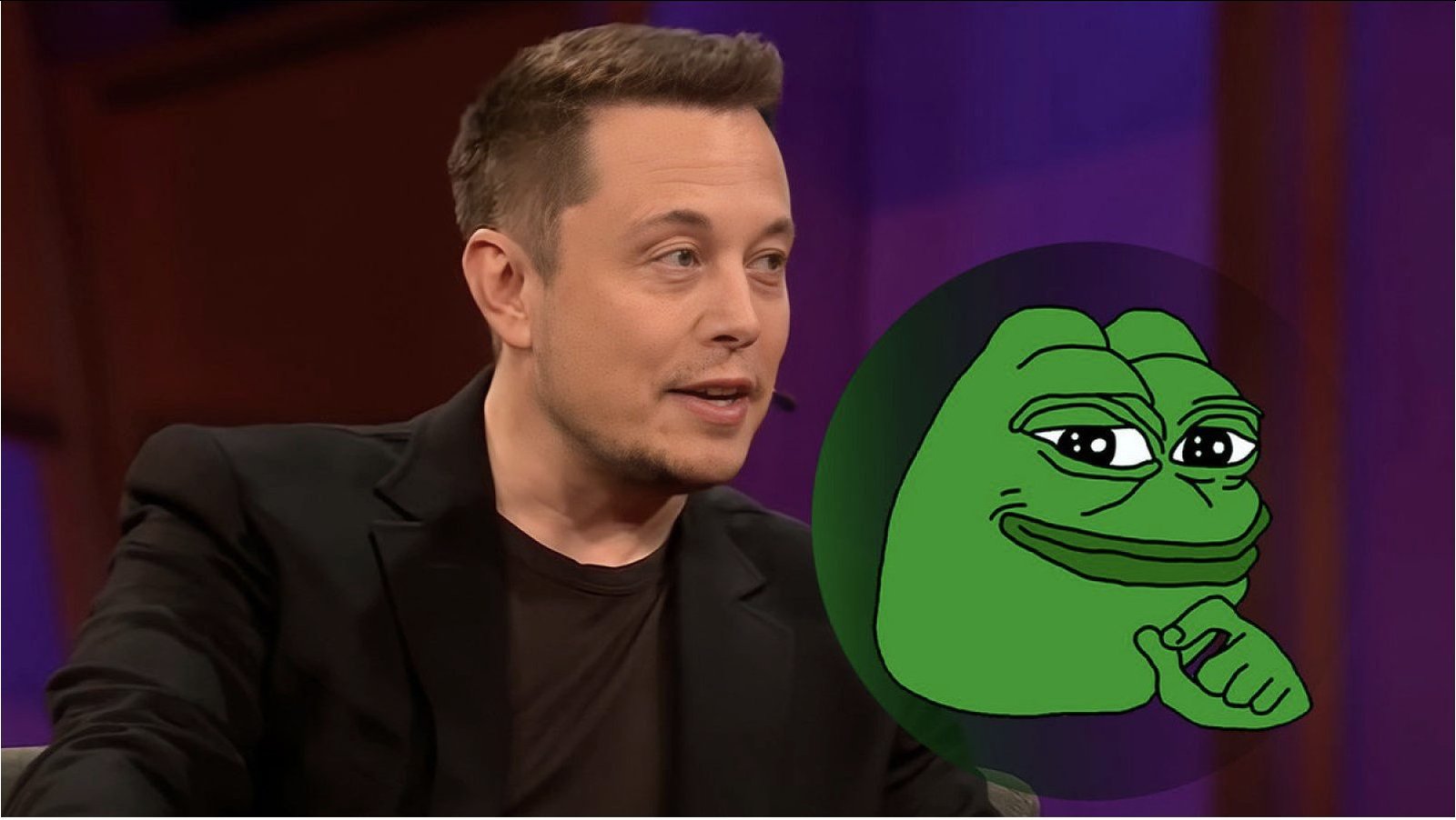 Has Elon Musk Invested in Pepe Coin?