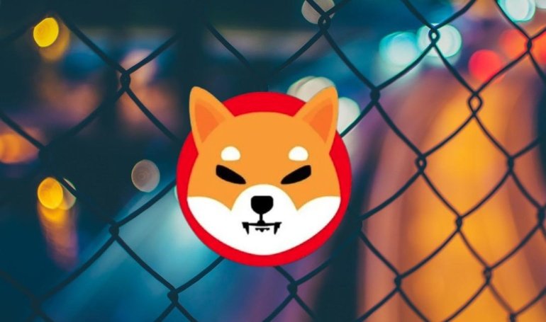 How Much SHIB Surged From Its All-Time Low?