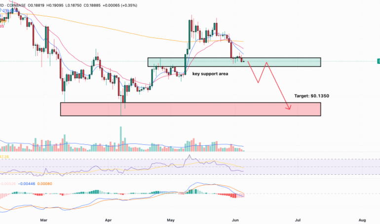 Is Dogecoin Running Out of Time? DOGE Price Prediction Warns of 6 Red Months
