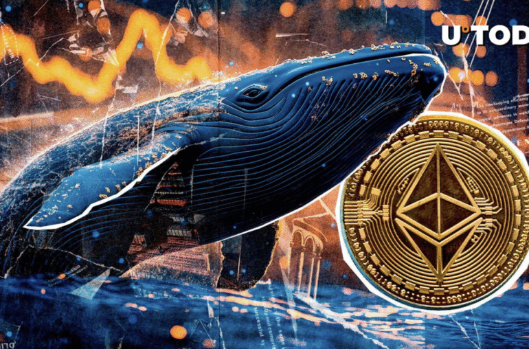 Massive Ethereum ICO Whale Suddenly Made  Million ETH Transfer to Top Exchange