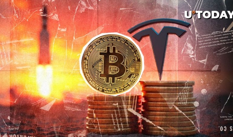 Musk Might Buy More Bitcoin After Congress Rant, XRP Advocate Says