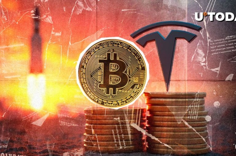 Musk Might Buy More Bitcoin After Congress Rant, XRP Advocate Says