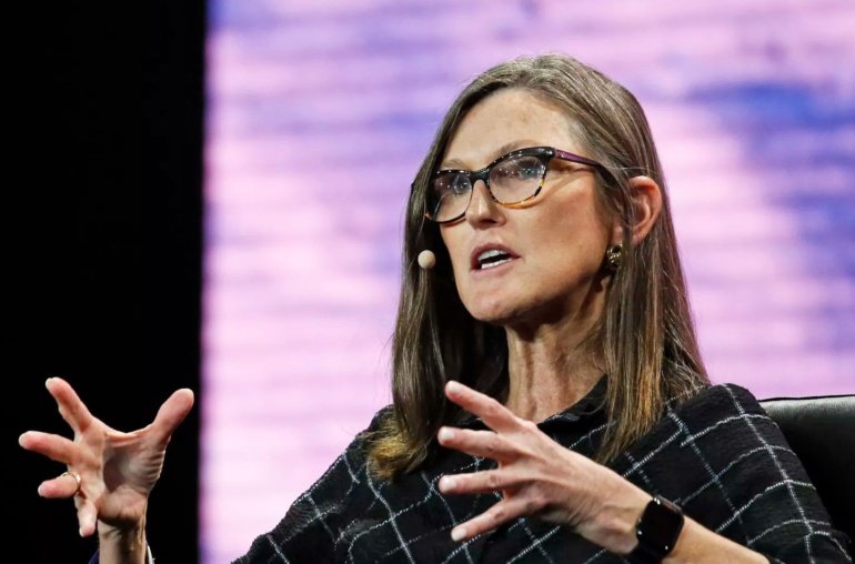 No Froth Yet, Says ARK Invest