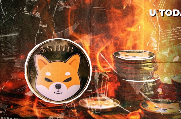 SHIB Burns Crash Despite Market Turning Green