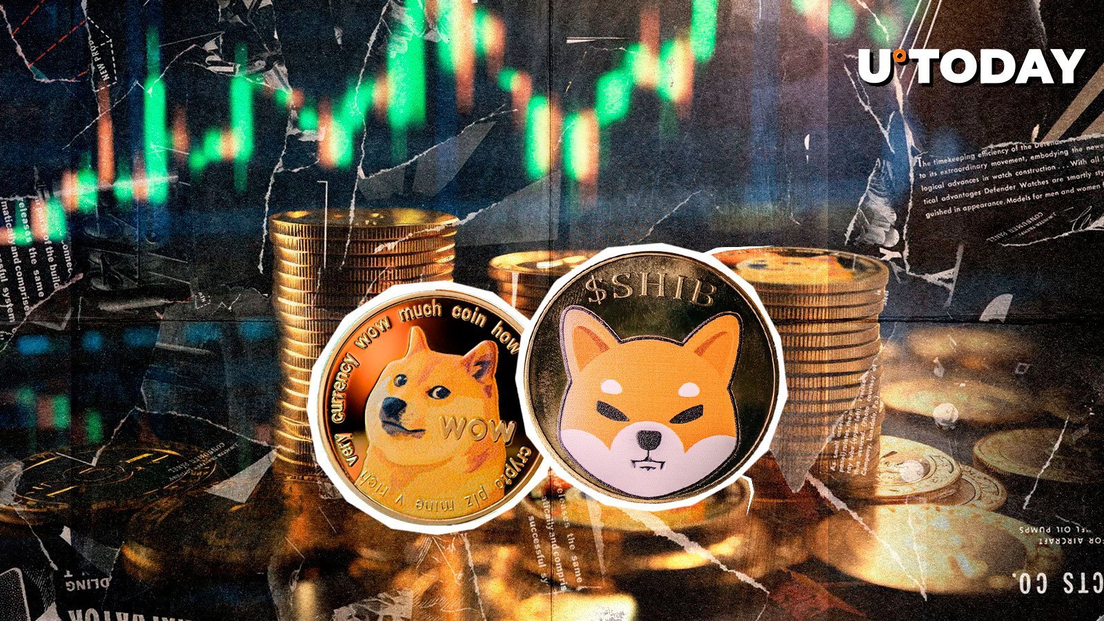 SHIB, DOGE Show Near Perfect 97% Price Correlation, What’s Driving It?