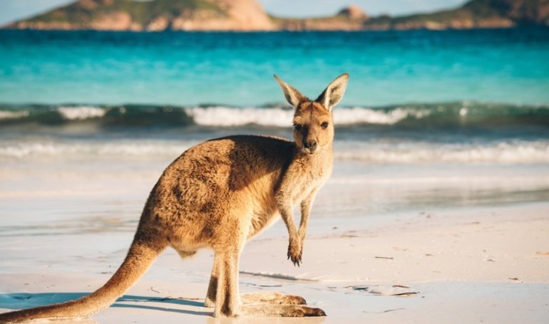 Share Sales Fraud in Australia Jumped 7x in the Last 4 Years