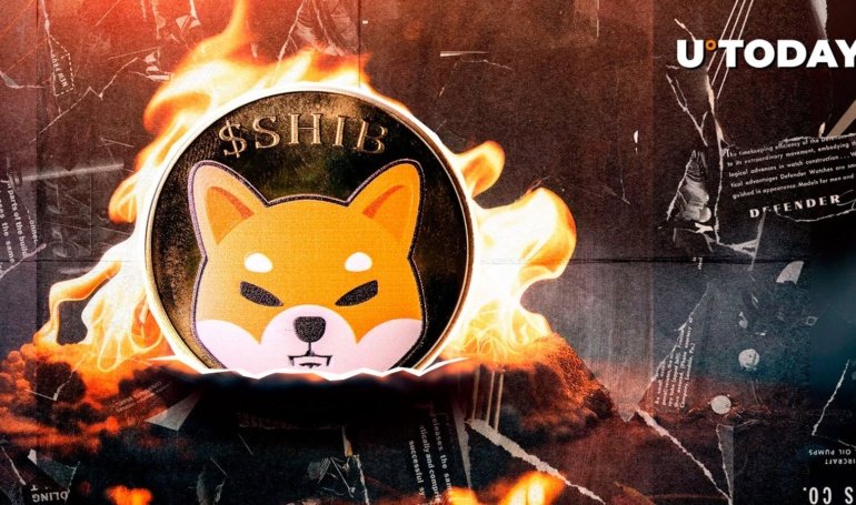 Shiba Inu Skyrockets 5,223% in Burns as Millions of SHIB Vanish