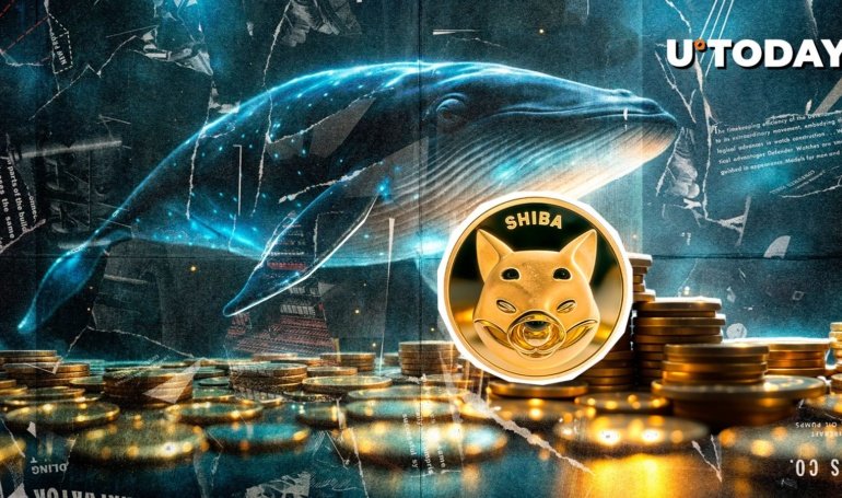 Shiba Inu Whale Inflows Explode 6,306% to Six-Month High, What’s Happening?