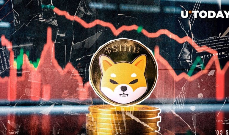 Shiba Inu Whale Transactions Down 91%, What’s Happening?