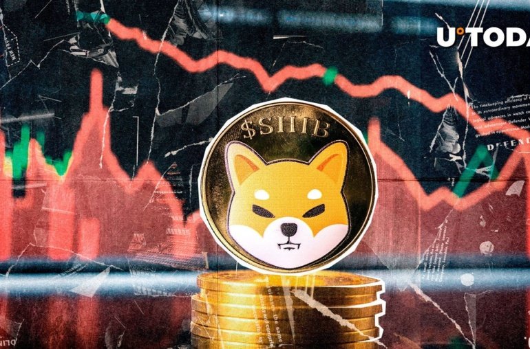 Shiba Inu Whale Transactions Down 91%, What’s Happening?