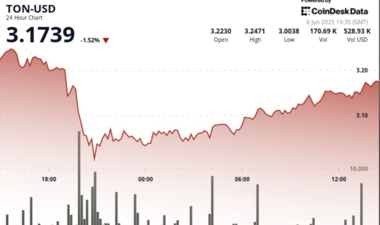 TON Finds ‘Strong Support’ at .00 Level Amid Wild Crypto Price Swings