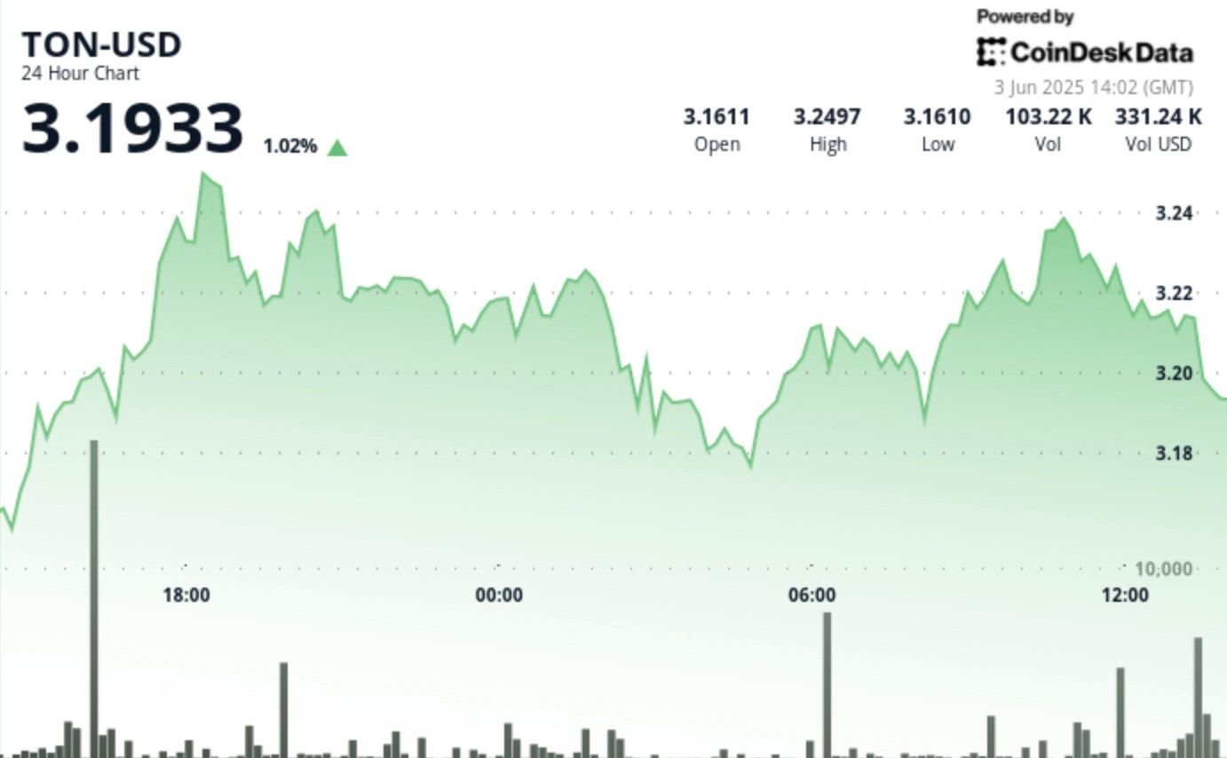 TON Struggles Against .24 Resistance Level, Settles at .18