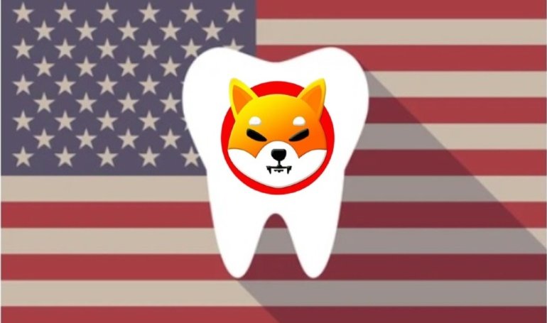 US-Based Dental Supply Firm Accepts Shiba Inu as Payment