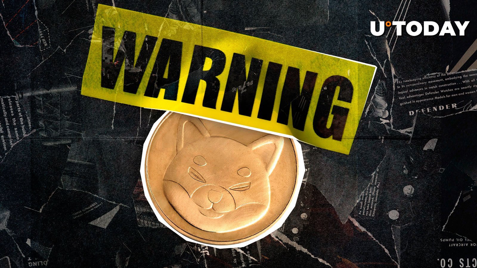 Urgent Shiba Inu Message Sparks Concern, What Happened?