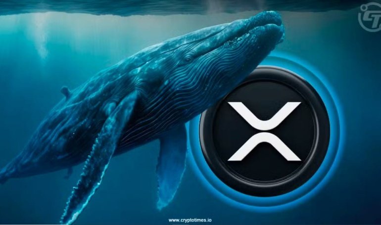 XRP Daily Users Jump 7x as Whale Wallets Hit Record High