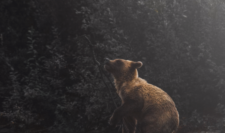 0K Brings on Shorts as BTC Approaches All-Time High