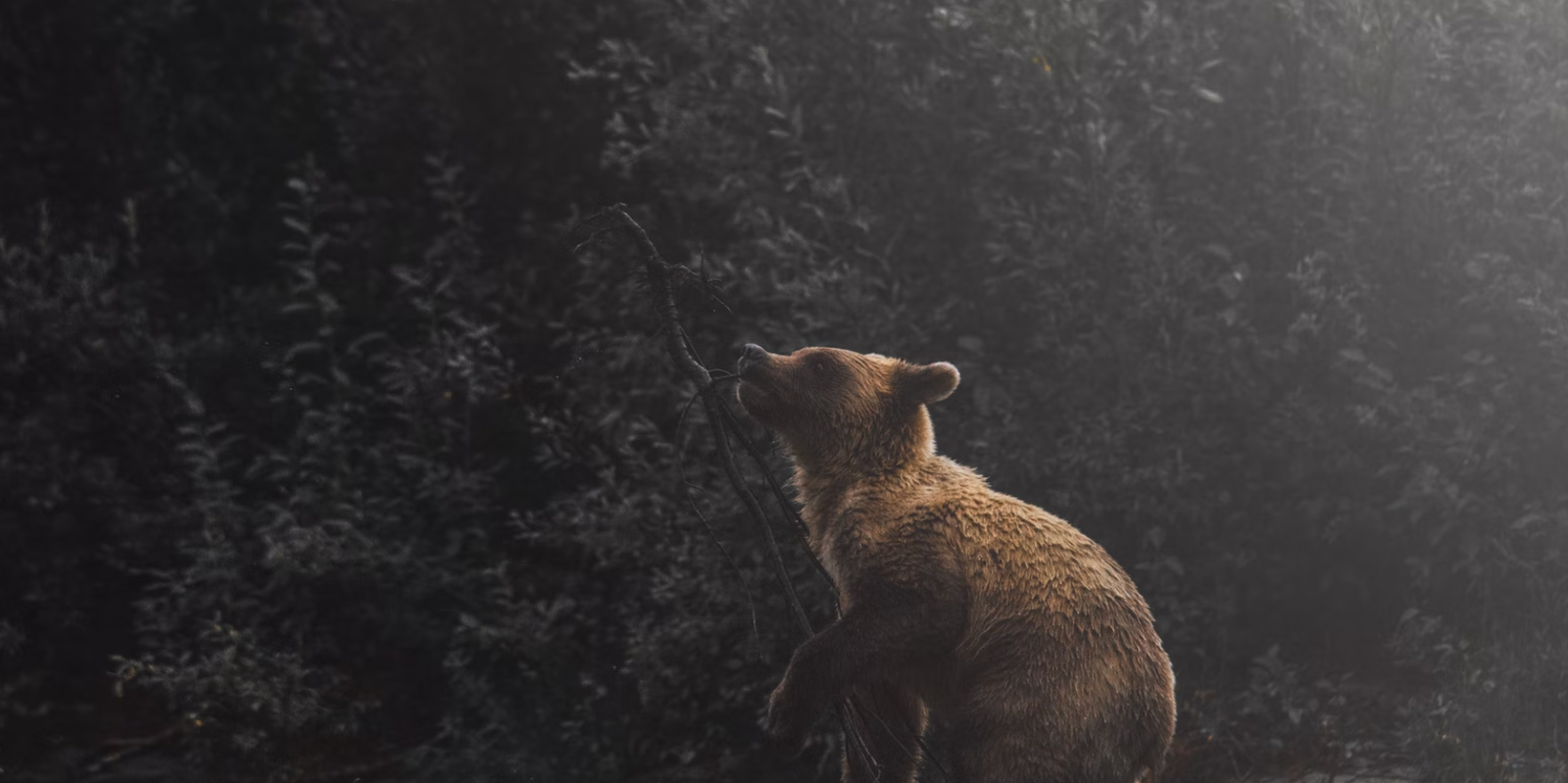 0K Brings on Shorts as BTC Approaches All-Time High