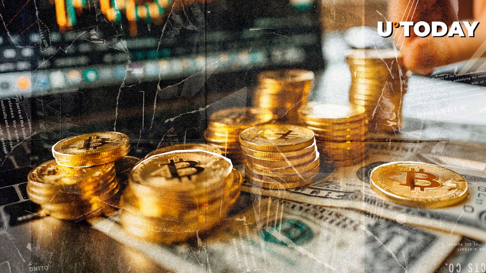 93% of Bitcoin Holders in Profit as BTC Market Cap Exceeds  Trillion