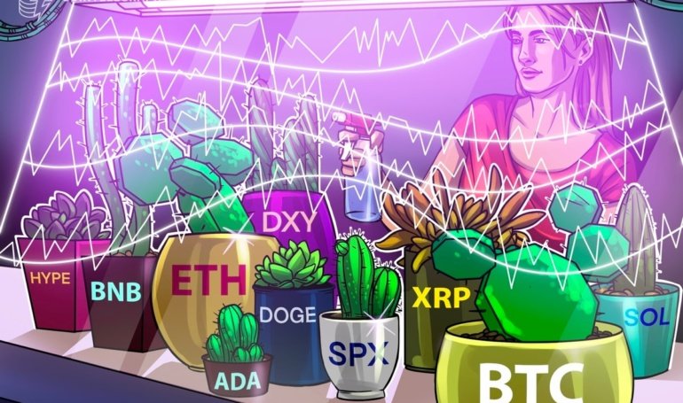 Altcoins Chase New Highs After Bitcoin Hits 3,000