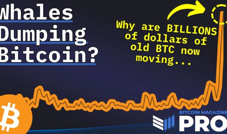 Are Bitcoin Whales Dumping Their BTC?