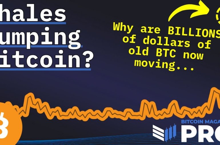 Are Bitcoin Whales Dumping Their BTC?