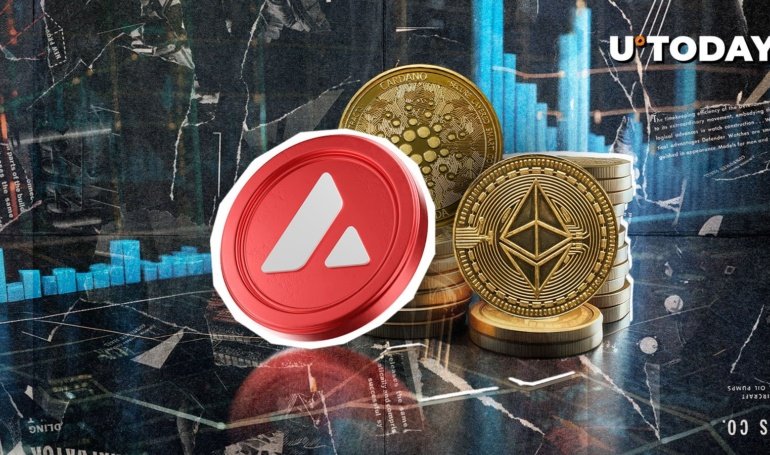 Avalanche Leads Ethereum in Whale Boost, Will AVAX Price Follow?