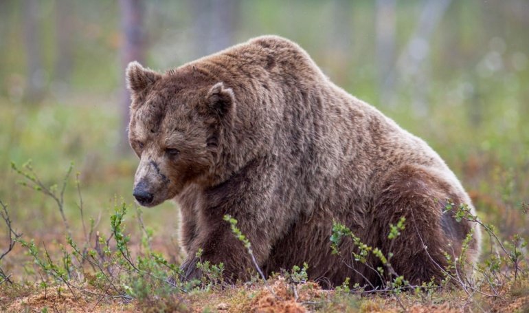 Bears Lose 0M to Liquidations, Largest Since May, as BTC, ETH, SOL Spike Higher