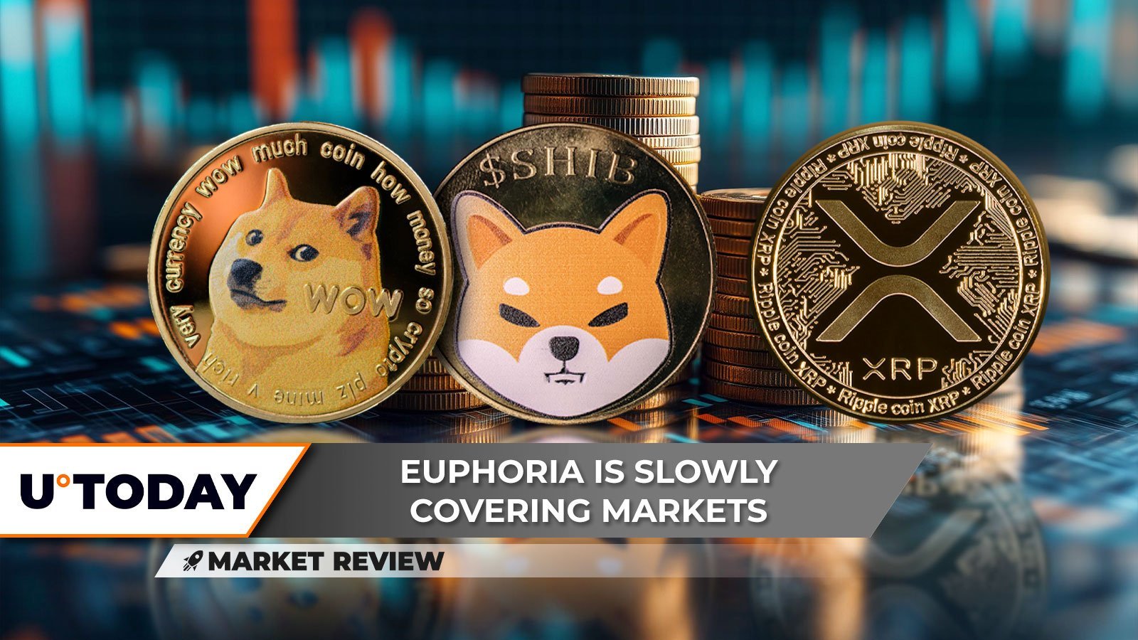 Biggest Breakout in 2025? Shiba Inu (SHIB) Must Break This, XRP Becomes Euphoric