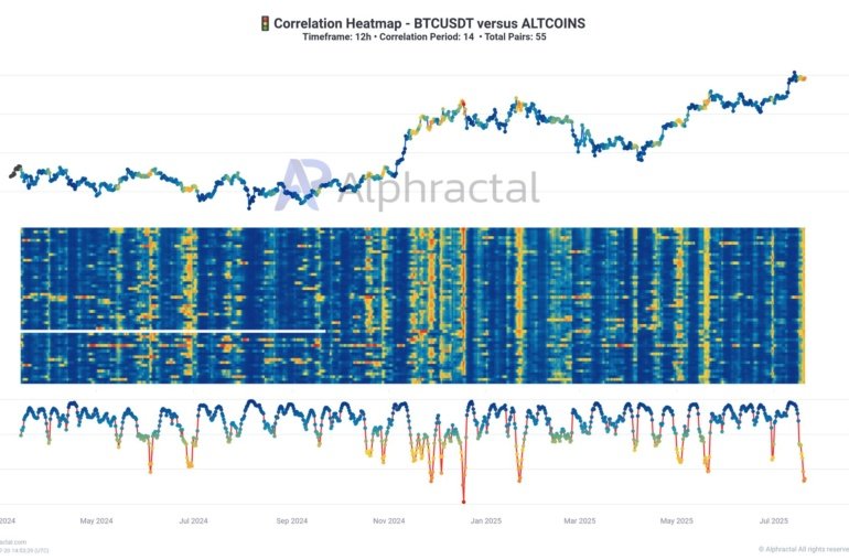 Bitcoin Correlation To Altcoins Is Collapsing: A Warning Sign?