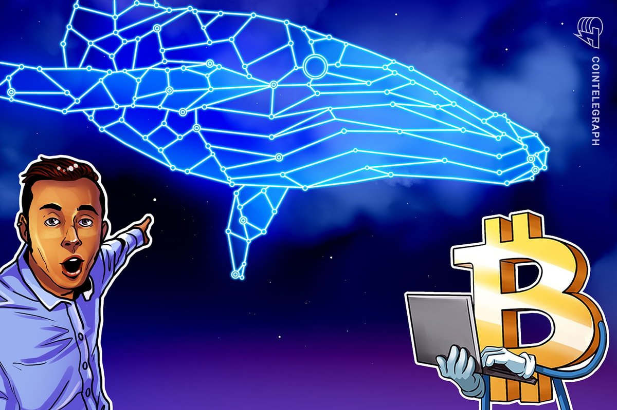 Bitcoin Whale’s B transfer, Genius Act sparks Correction Concerns