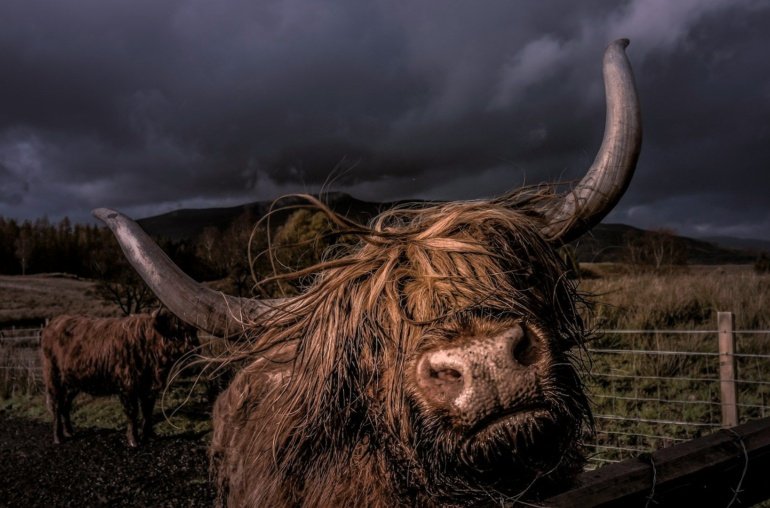 Bitcoin’s (BTC) 200-WeeK Average Nears K To Suggest Long-Term Market Strength