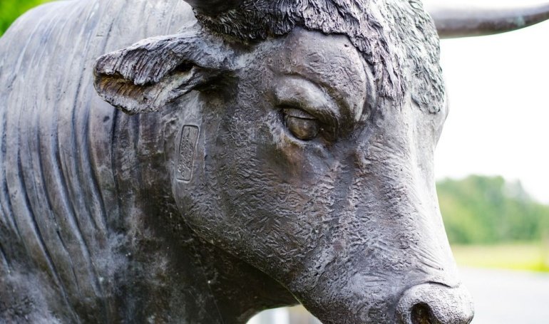 Bullish Teams Up With Solana for Institutional Stablecoin Push